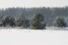 kuligiiciiic14i2010220_small.jpg
