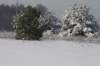 kuligiiciiic14i2010222_small.jpg