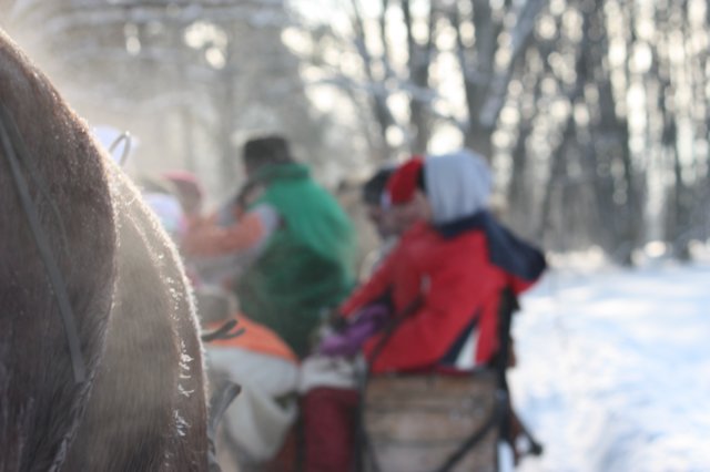 kuligiiciiic14i2010225.jpg