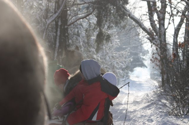 kuligiiciiic14i2010226.jpg