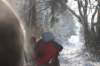 kuligiiciiic14i2010226_small.jpg