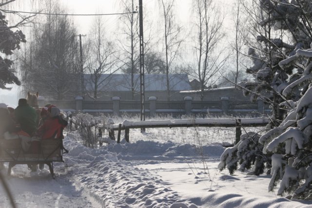 kuligiiciiic14i2010228.jpg