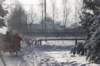 kuligiiciiic14i2010228_small.jpg