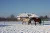 kuligiiciiic14i201022_small.jpg