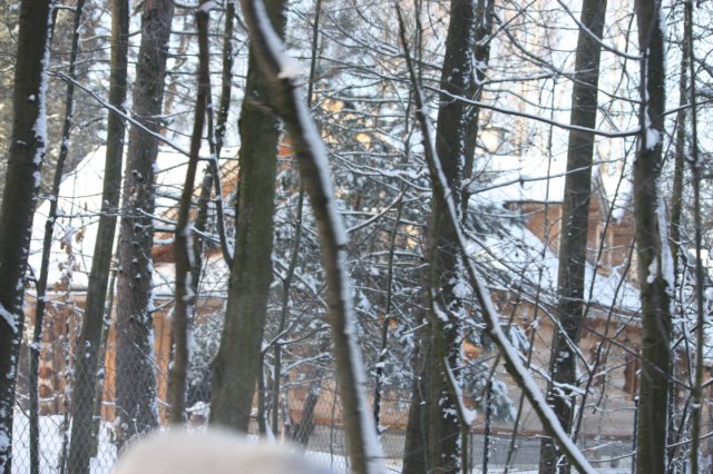 kuligiiciiic14i2010232.jpg