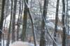 kuligiiciiic14i2010232_small.jpg