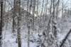 kuligiiciiic14i2010237_small.jpg