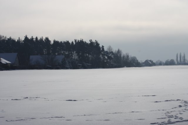 kuligiiciiic14i2010239.jpg