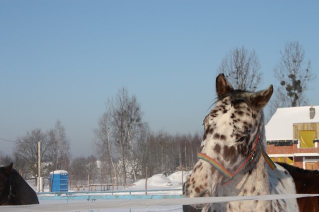 kuligiiciiic14i201024.jpg