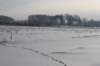 kuligiiciiic14i2010241_small.jpg