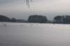 kuligiiciiic14i2010242_small.jpg