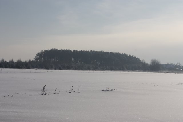 kuligiiciiic14i2010243.jpg