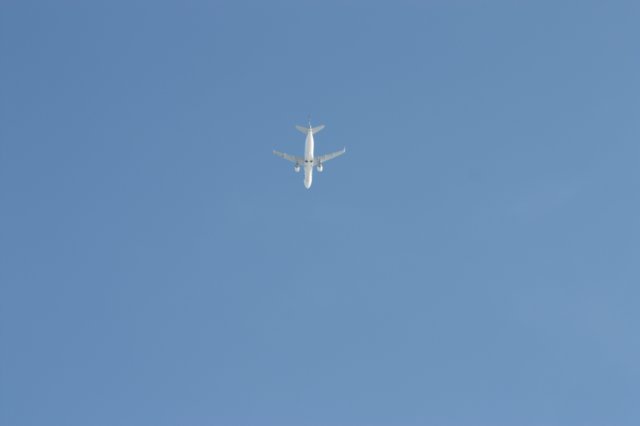 kuligiiciiic14i2010246.jpg