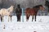 kuligiiciiic14i2010254_small.jpg