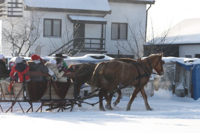 kuligiiciiic14i2010256.jpg
