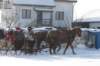 kuligiiciiic14i2010256_small.jpg