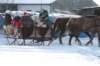 kuligiiciiic14i2010257_small.jpg