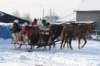 kuligiiciiic14i2010258_small.jpg