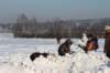 kuligiiciiic14i2010268_small.jpg