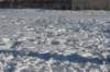 kuligiiciiic14i2010274_small.jpg