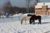 kuligiiciiic14i2010279_small.jpg