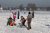 kuligiiciiic14i2010296_small.jpg