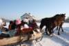 kuligiiciiic14i20102_small.jpg