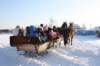 kuligiiciiic14i20103_small.jpg