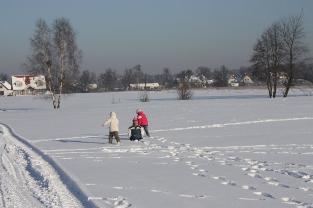 kuligiiciiic14i201042.jpg
