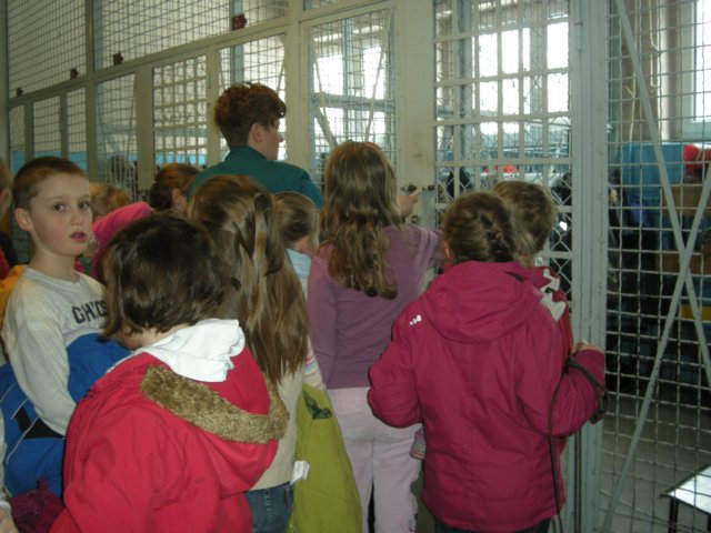 lodowiskoiia2010107.jpg