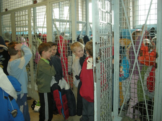 lodowiskoiia2010108.jpg