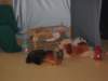 nowe114_small.jpg