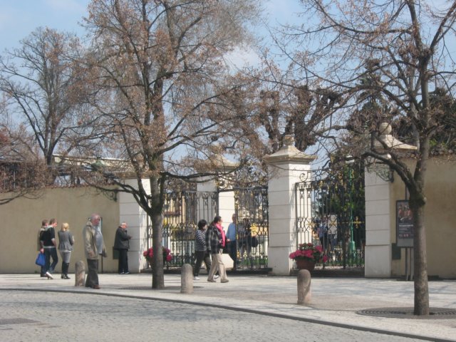zielonaszkoawkarkonoszach003.jpg