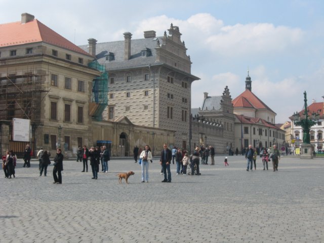 zielonaszkoawkarkonoszach005.jpg