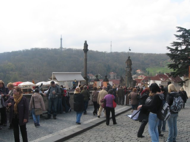 zielonaszkoawkarkonoszach031.jpg