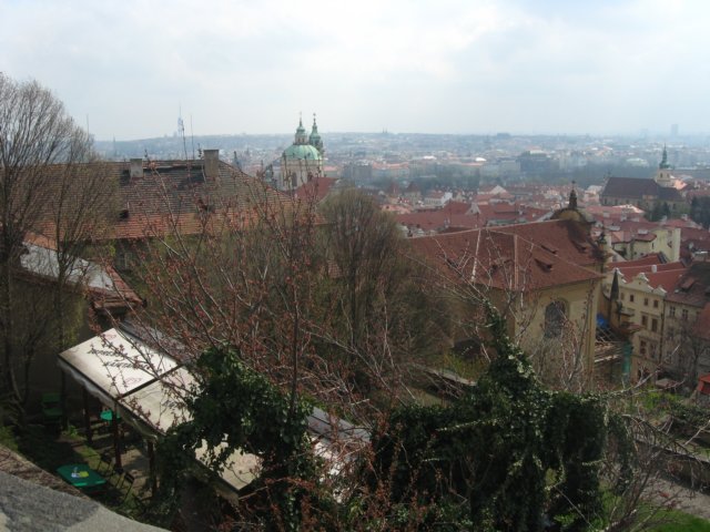 zielonaszkoawkarkonoszach033.jpg