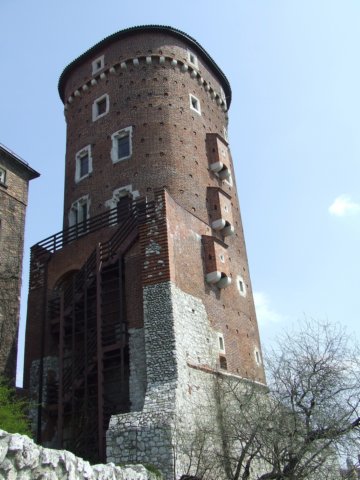 zielonaszkoa2010032.jpg