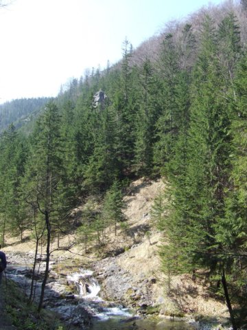 zielonaszkoa2010066.jpg