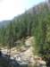 zielonaszkoa2010066_small.jpg