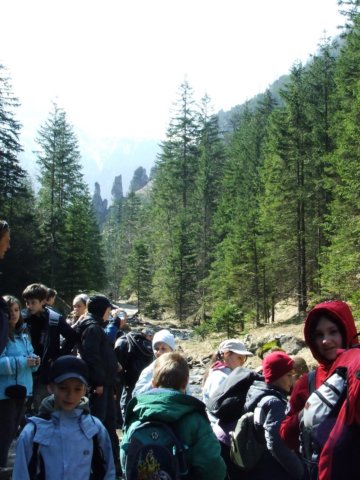 zielonaszkoa2010069.jpg