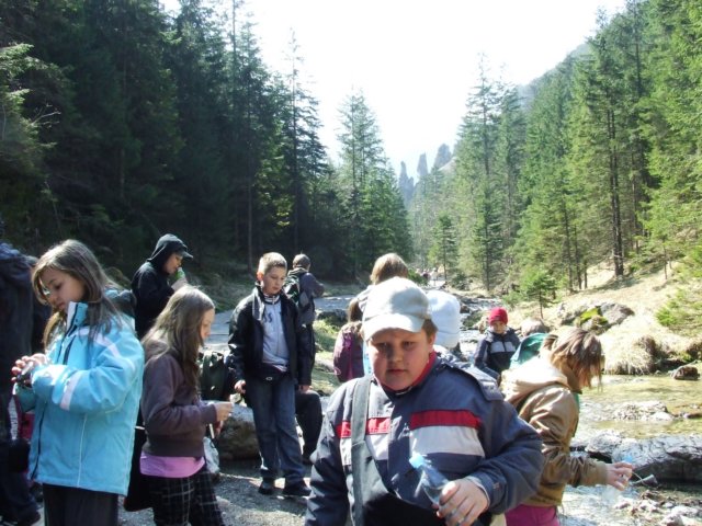 zielonaszkoa2010070.jpg