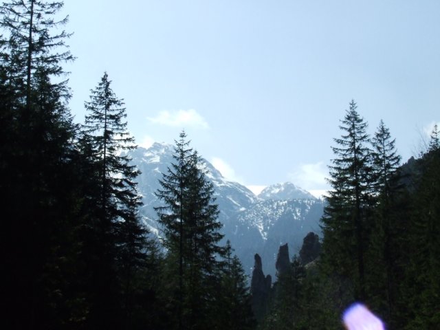 zielonaszkoa2010073.jpg