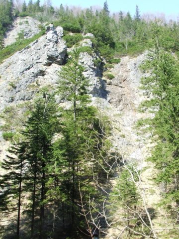 zielonaszkoa2010076.jpg