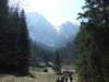 zielonaszkoa2010088_small.jpg