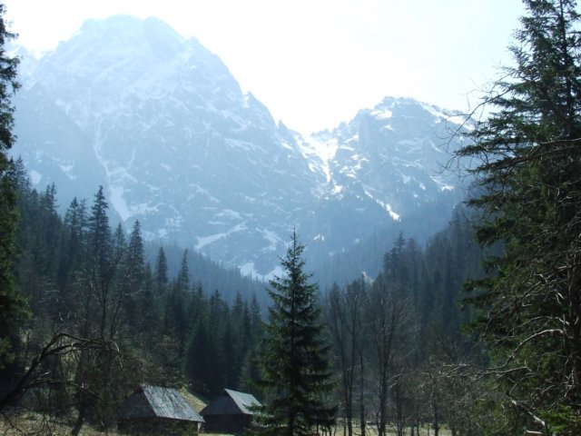 zielonaszkoa2010089.jpg