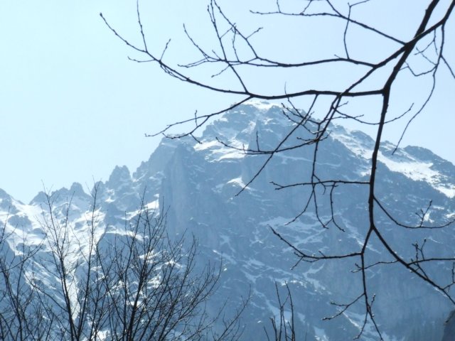 zielonaszkoa2010092.jpg