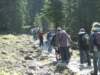 zielonaszkoa2010097_small.jpg