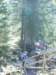 zielonaszkoa2010099_small.jpg