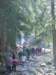 zielonaszkoa2010100_small.jpg