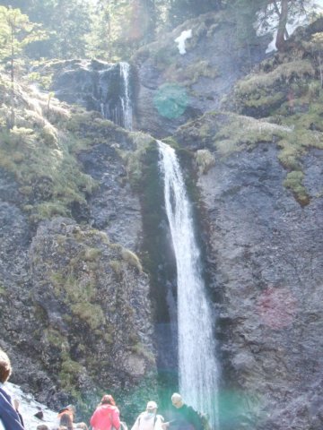 zielonaszkoa2010101.jpg
